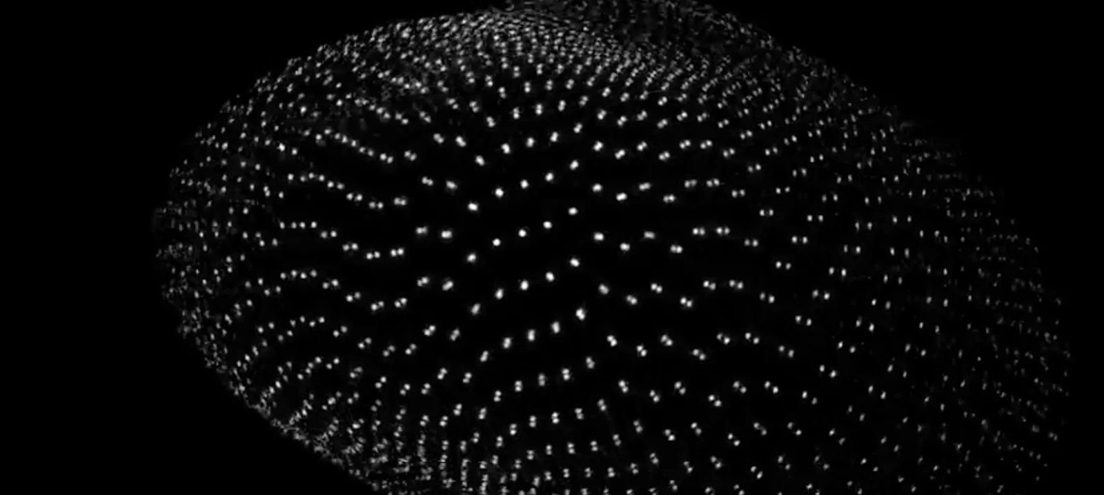 ANAMA, a field of connected points, treated black and white